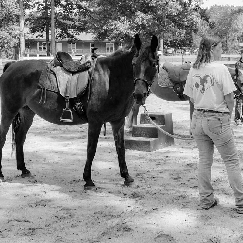 Equine Facilitated Learning